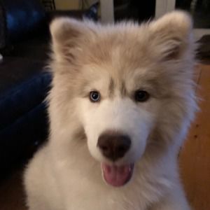 Meet your Posher, Cheri